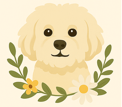 Teddy